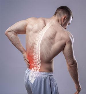 Causes Of Low Back Pain